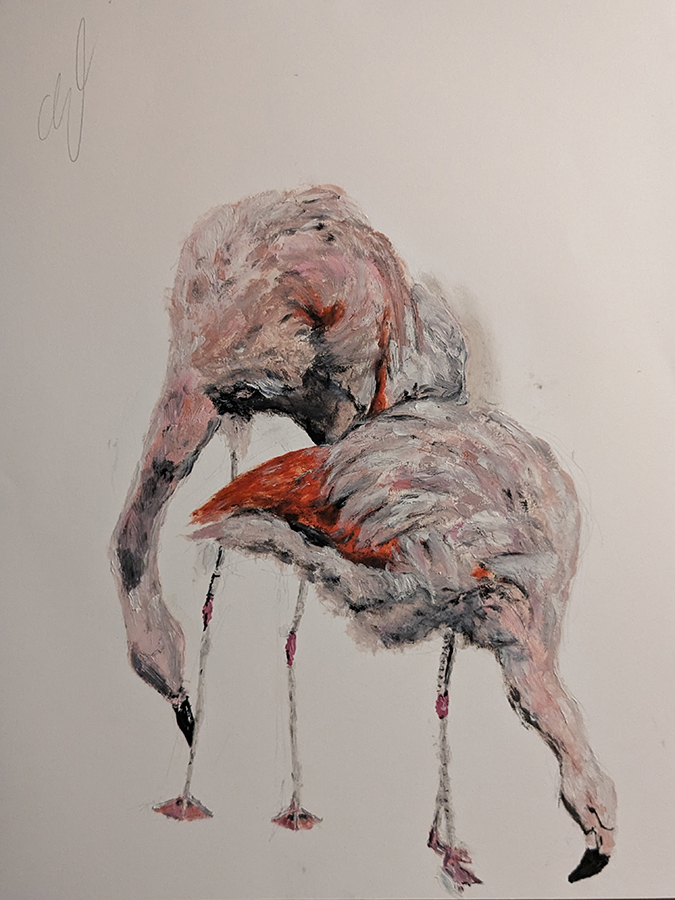 "Impression flamants roses bis", huile sur papier, 50×65 cm, septembre 2023