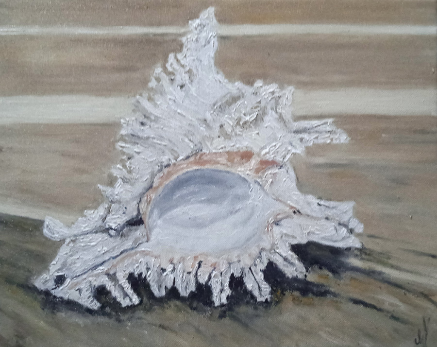 "The shell", Stone Town, 36x29cm, huile sur toile, août 2023